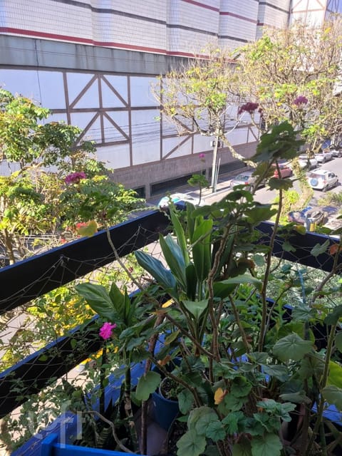 Image 9 - 248870